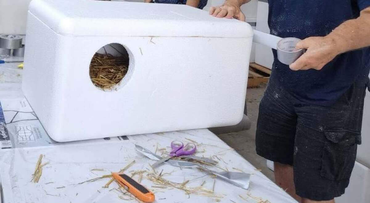 In Champion, TNR of Warren will be having a shelter build for stray and feral cats from 10 a.m. - 1 p.m. at 397 Folsom St. on June 27.