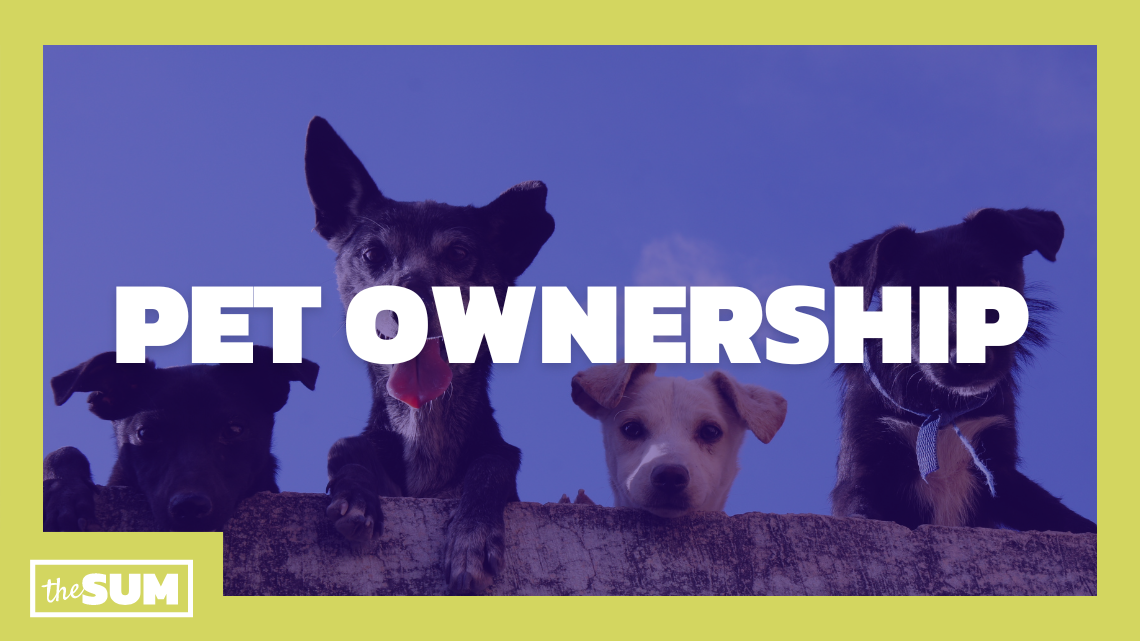 Here’s how pets affect your finances