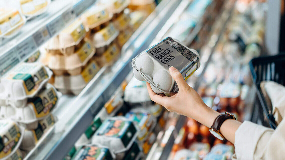 Here are the items Kentucky food banks need most as SNAP funds expire Nov. 1