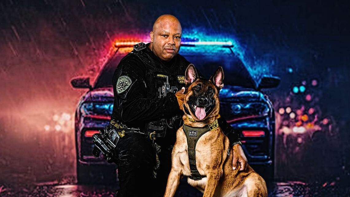 Trumbull County sheriff office’s canine officer Lincoln has been entered in the Light Ohio Blue’s first ever Fur Responders photo challenge.