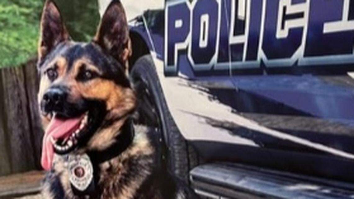 Nix served the City of Canfield and the greater Mahoning Valley area from October 2020 until November 2023.