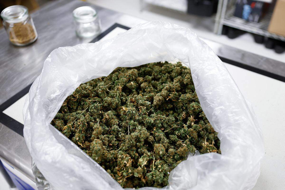 Flowers of hemp plants that contain less that 0.3 percent tetrahydrocannabinol (THC) the primary psychoactive substance in marijuana.