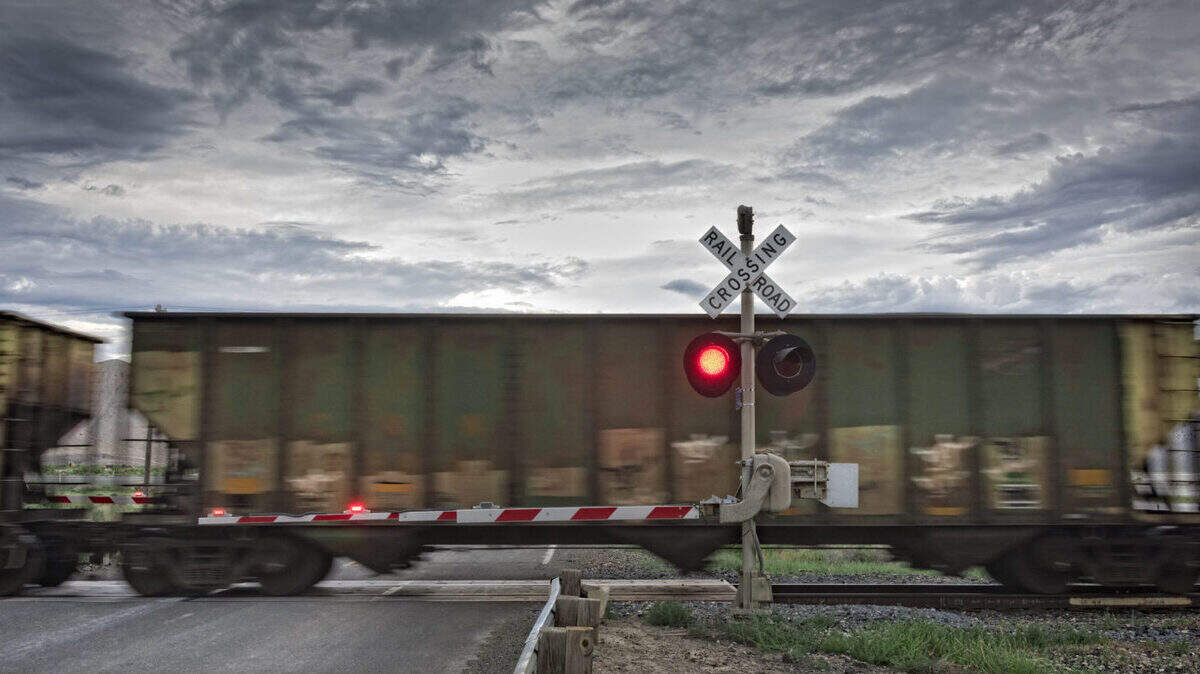 Freight train passing at railroad crossing.