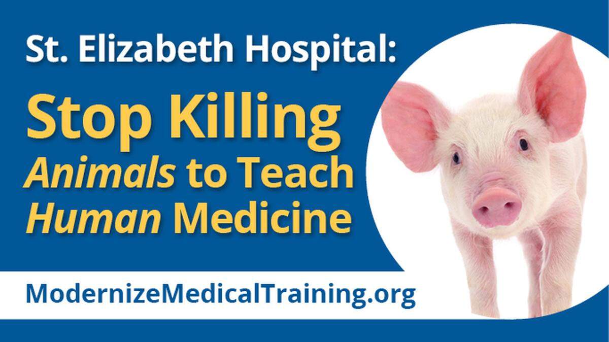 Protesters call on hospital to stop killing animals to teach human medicine