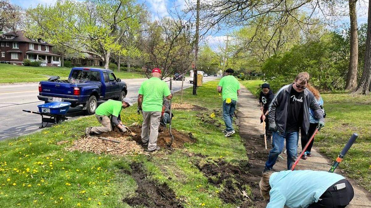 Tree planting in Youngstown