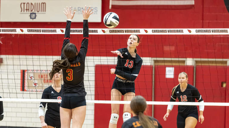 Vote before poll closes: Pick Mahoning Valley’s volleyball team to watch