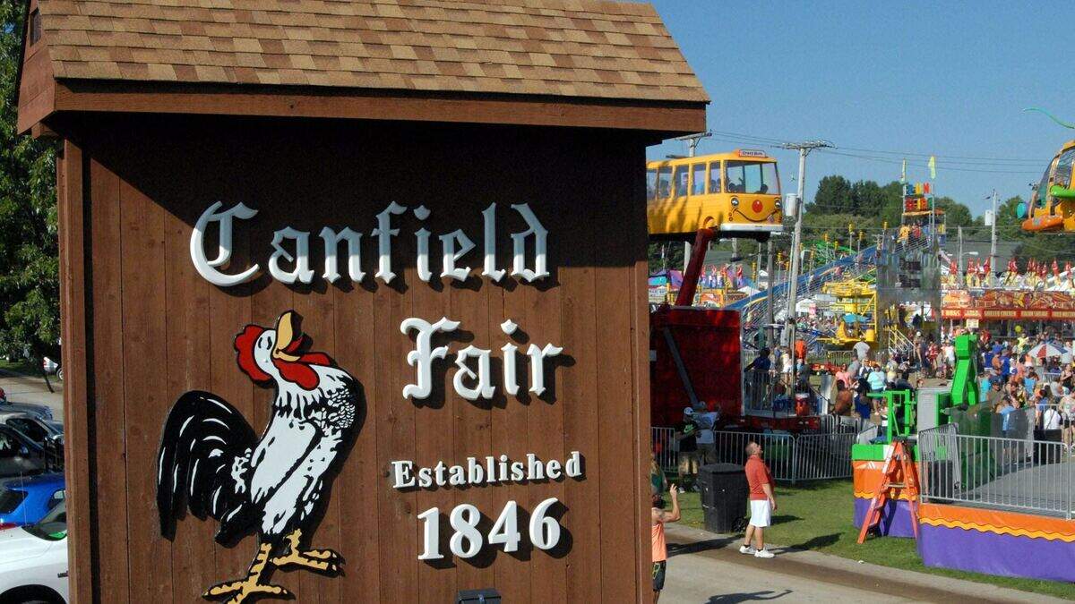 Two local food truck owners planning first collaboration for Canfield Fair