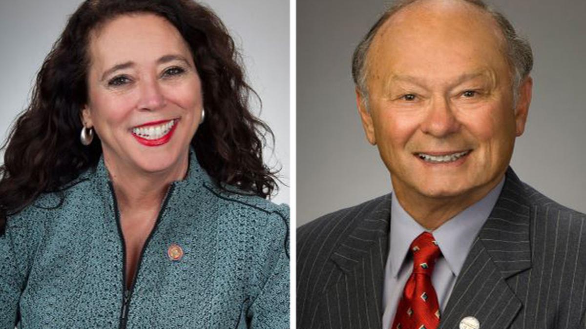 State Reps. Michele Lepore-Hagan of Youngstown and Michael Sheehy of Oregon, Ohio.