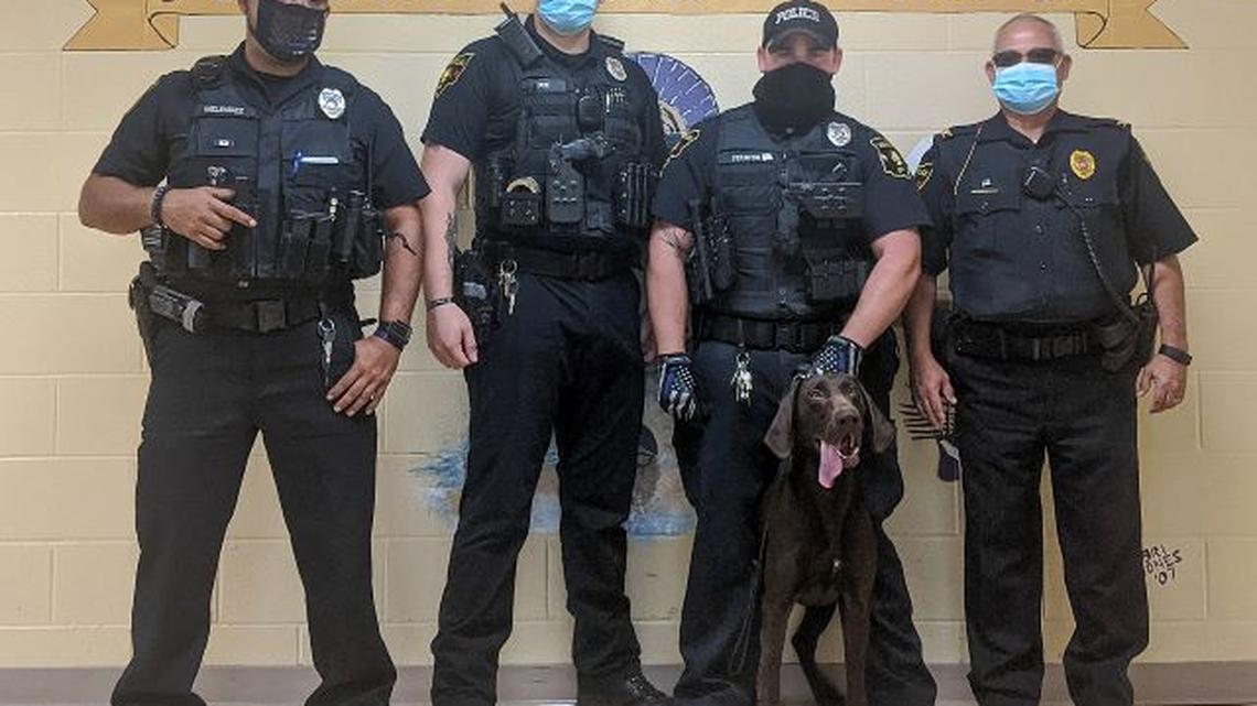 Sebring police officers and Radar conducted a school lockdown and found no illegal substances on Sept. 29. (Contributed by Sebring schools)