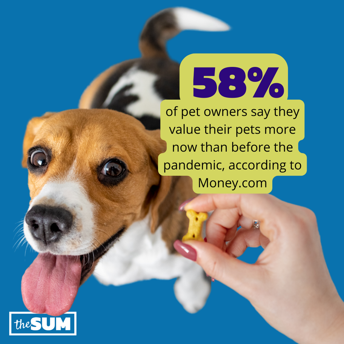 58% of pet owners say they value their pets more now than before the pandemic, according to Money.com