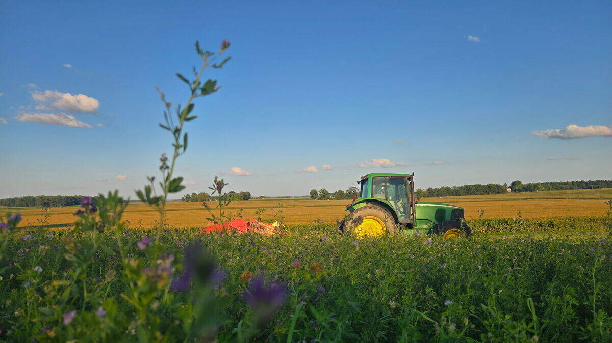 Ohio farmers need help after tariffs, foreign competition bring big struggles