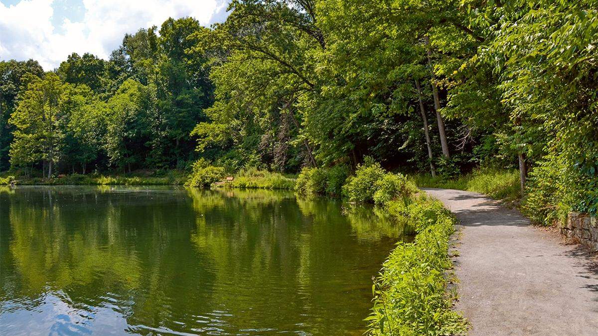 Mahoning County Land Bank teamed up with Mill Creek MetroParks to promote biodiversity and resiliency among native plants at Youngstown facilities, including Lily Pond.