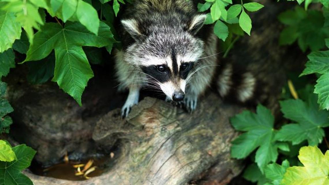 (Photo by Erwan Hesry | Unsplash)