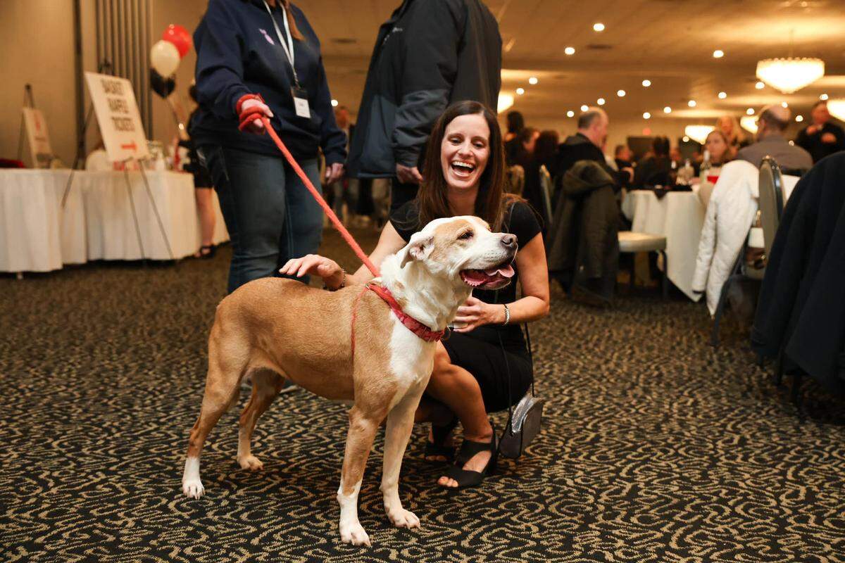 Get tickets to Animal Charity of Ohio’s Fur Ball on March 14 at Mr. Anthony’s in Boardman. Dinner, auctions and raffles support Mahoning Valley animals in need.
