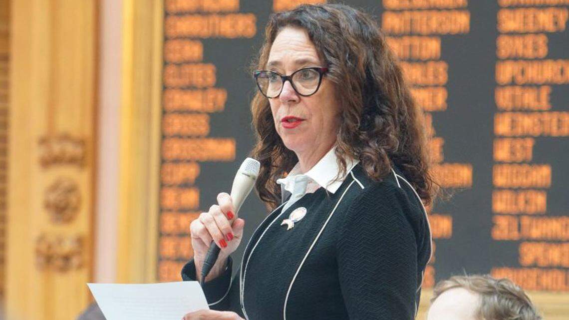 State Rep. Michele Lepore-Hagan of Youngstown.