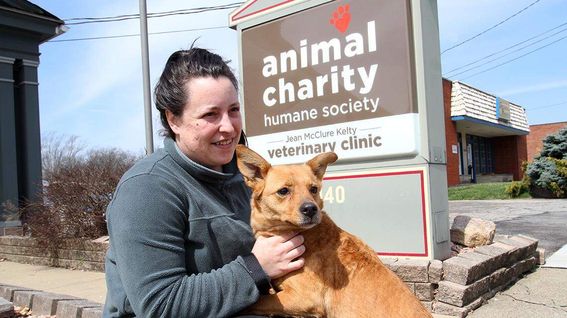 Shown here is Jane MacMurchy, operations director for Animal Charity Humane Society in Boardman, with Layla at the Market Street facility on March 30, 2022.