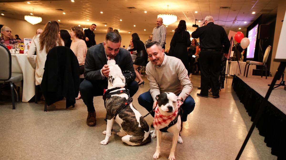 Surprise your Valentine with tickets to Animal Charity of Ohio’s biggest event of the year: the twelfth annual Fur Ball on March 14 at Mr. Anthony’s in Boardman.