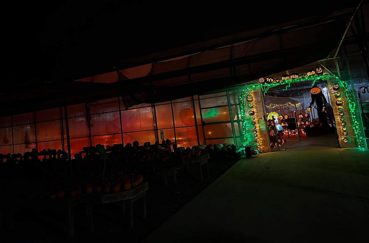 Ty’s Pumpkin Walk is open every Thursday, Friday, Saturday and Sunday from 6 - 9 p.m. through the end of October at Angiuli’s Farm Market in Canfield.