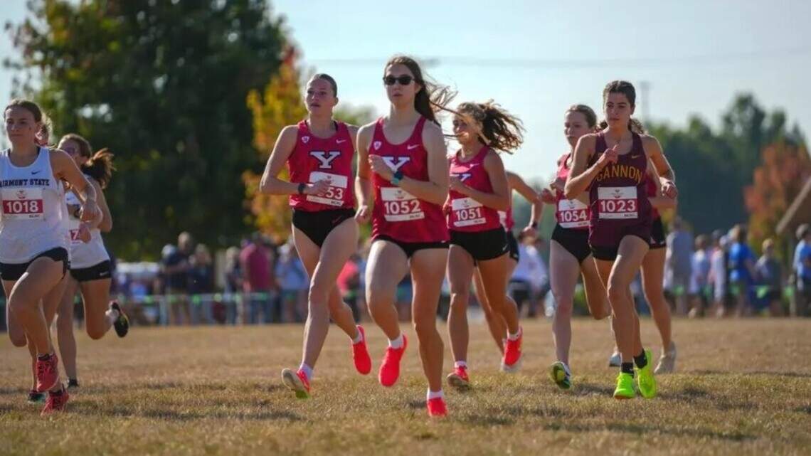 Youngstown State Penguins unveil 2026 cross country schedule