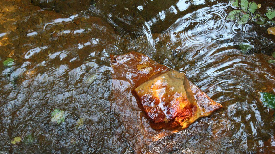 Brewing Locally Image