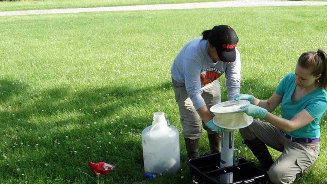 Staff set up traps to collect mosquitoes for surveillance.
