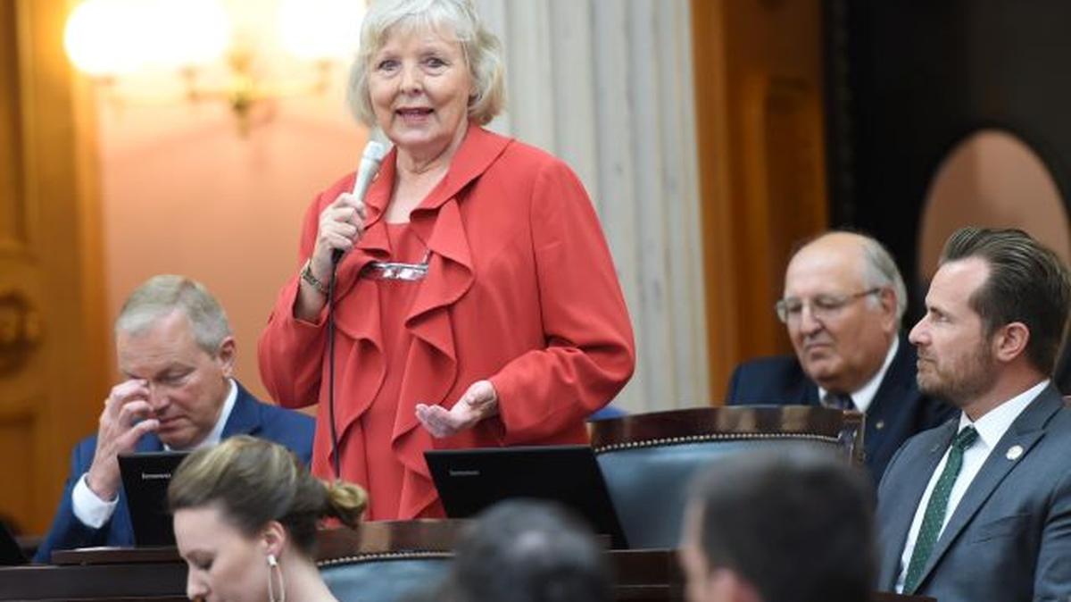 State Rep. Diane Grendell (Photo courtesy of ohiohouse.gov)