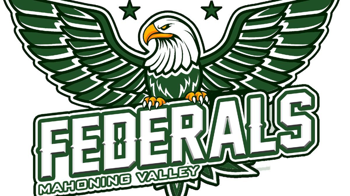A new Youngstown semi-pro football team will begin to play in The Players Football Association league this year.