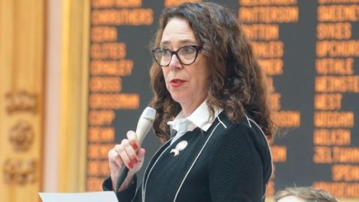 State Rep. Michele Lepore-Hagan of Youngstown, D-58th, officially launched her campaign for re-election today. (Photo courtesy of ohiohouse.gov)
