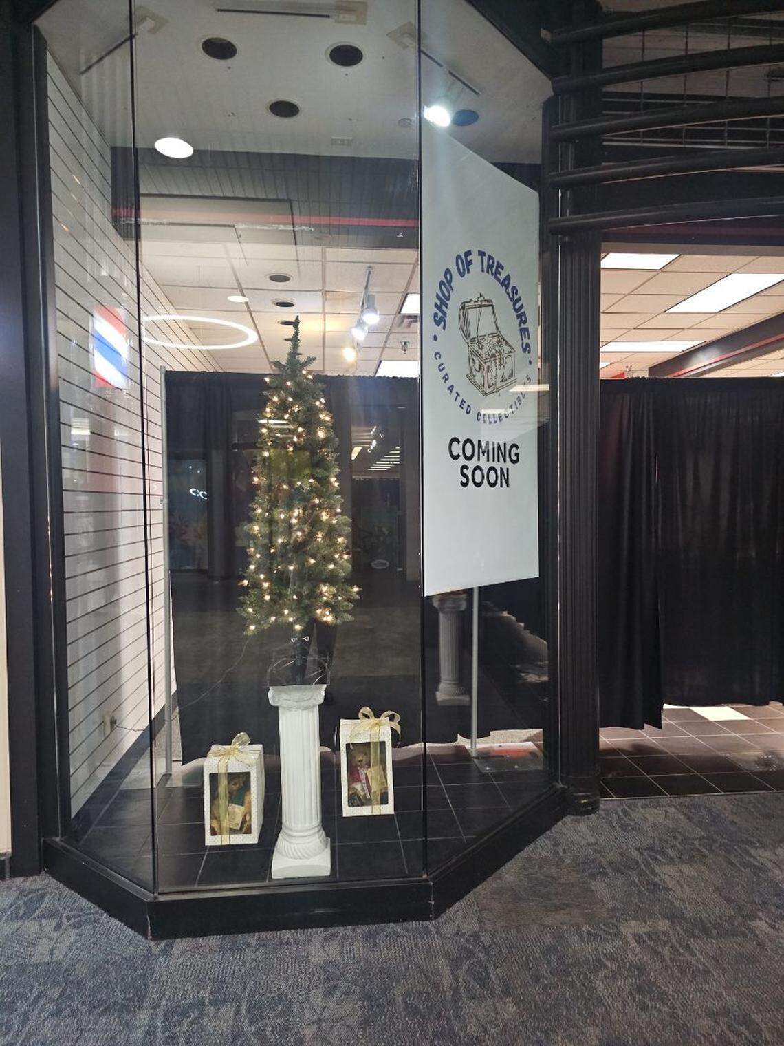 The Caruso family is bringing Shop of Treasures to the former Champs Sports at the end of the corridor by Dave & Busters in the Eastwood Mall this fall.