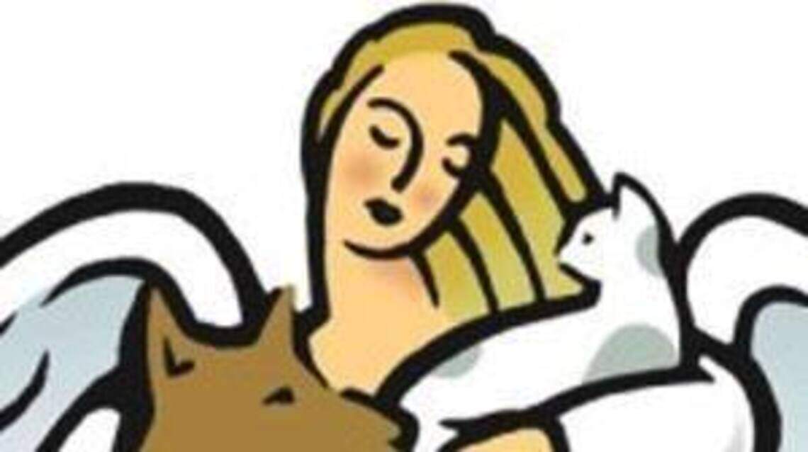 COLUMBIANA COUNTY: Money from event goes toward Angels for Animals’ medical expenses