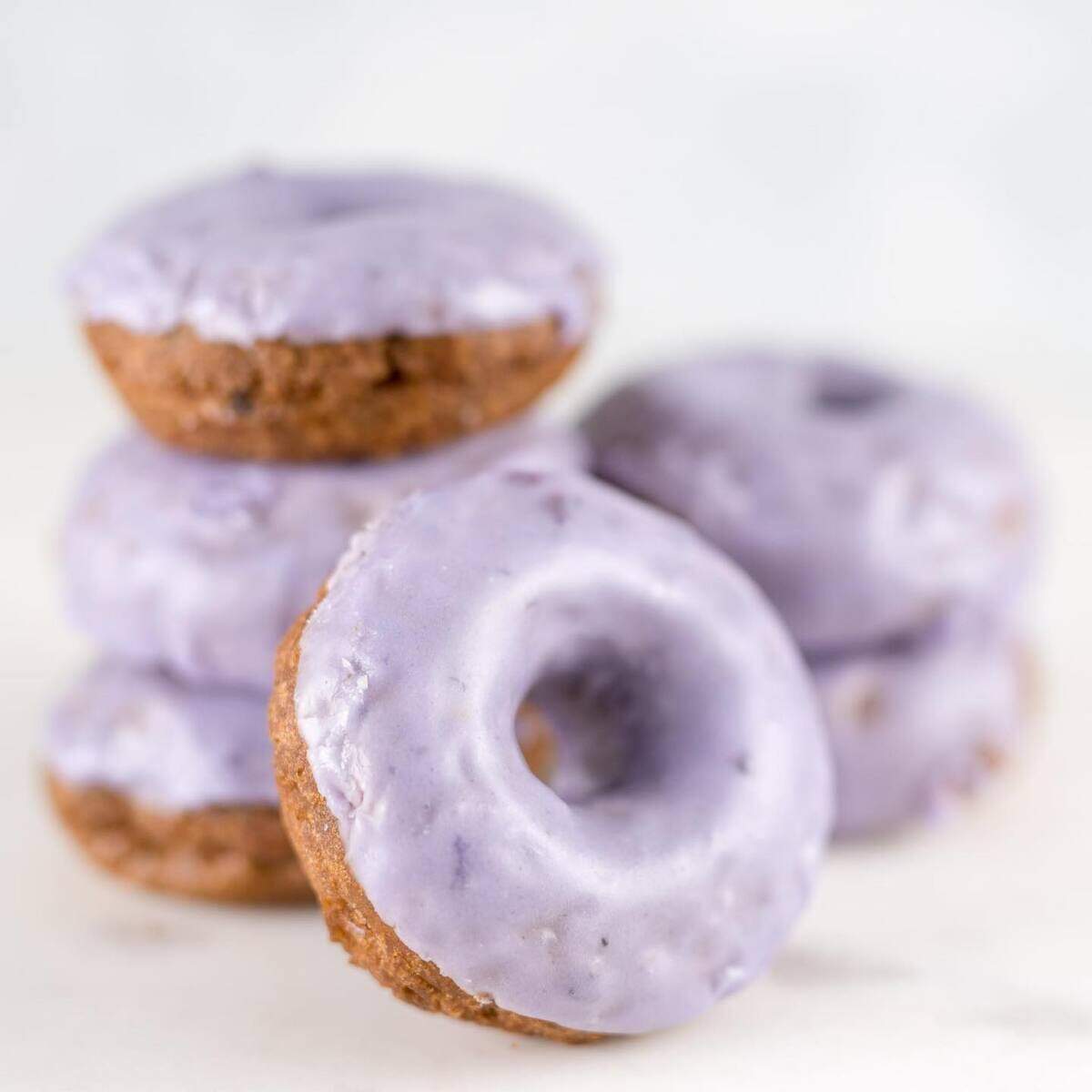 In addition to the apples, one of the highlights of visiting White House Fruit Farm is the bakery’s iconic blueberry donuts.