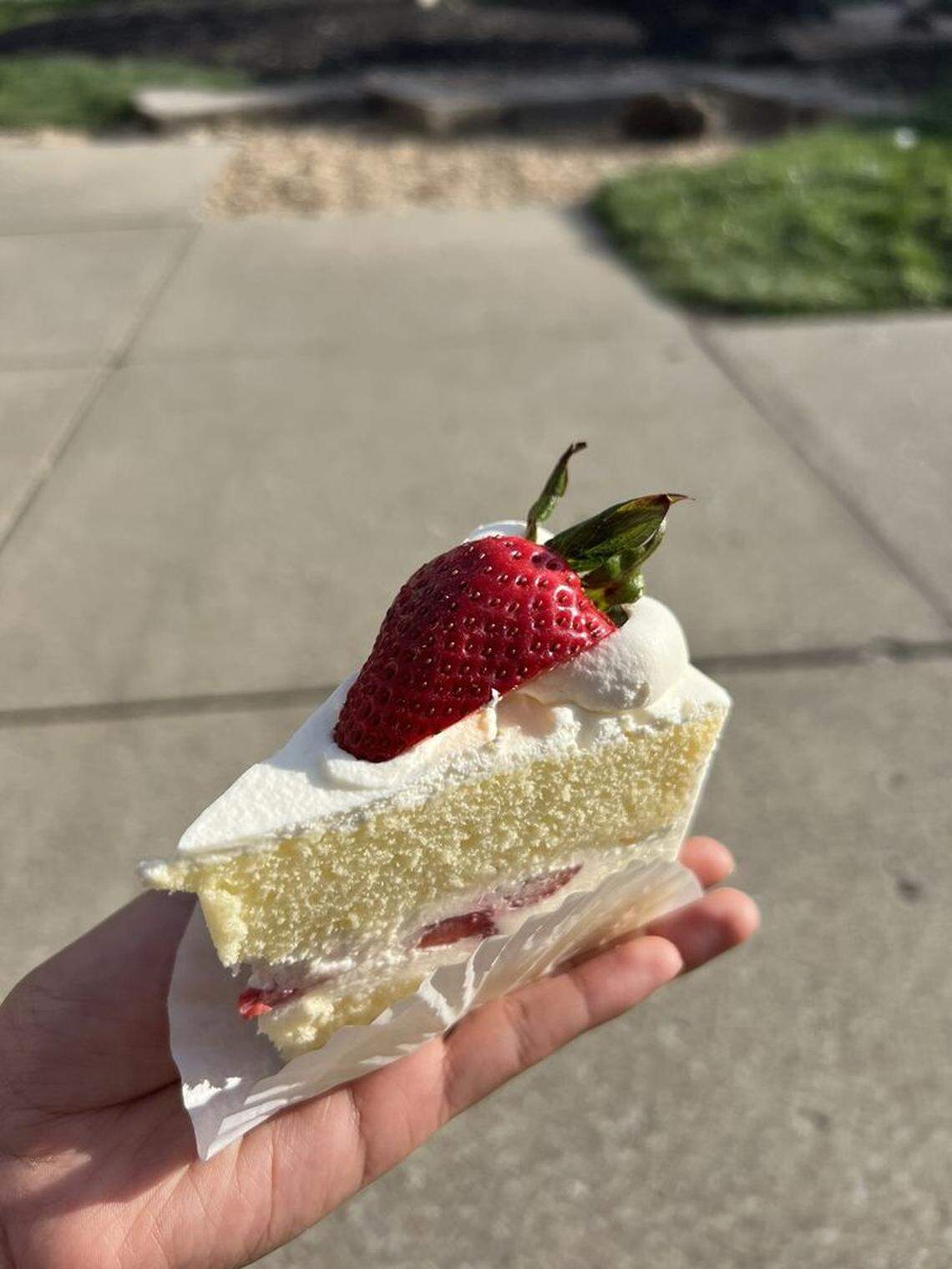 Scrumptious strawberry cake at Belle’s Bread in Ohio.