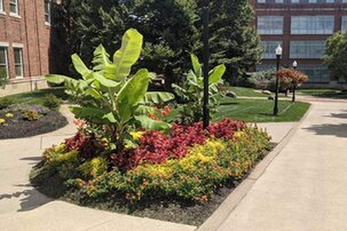 Denison University in Granville, Ohio