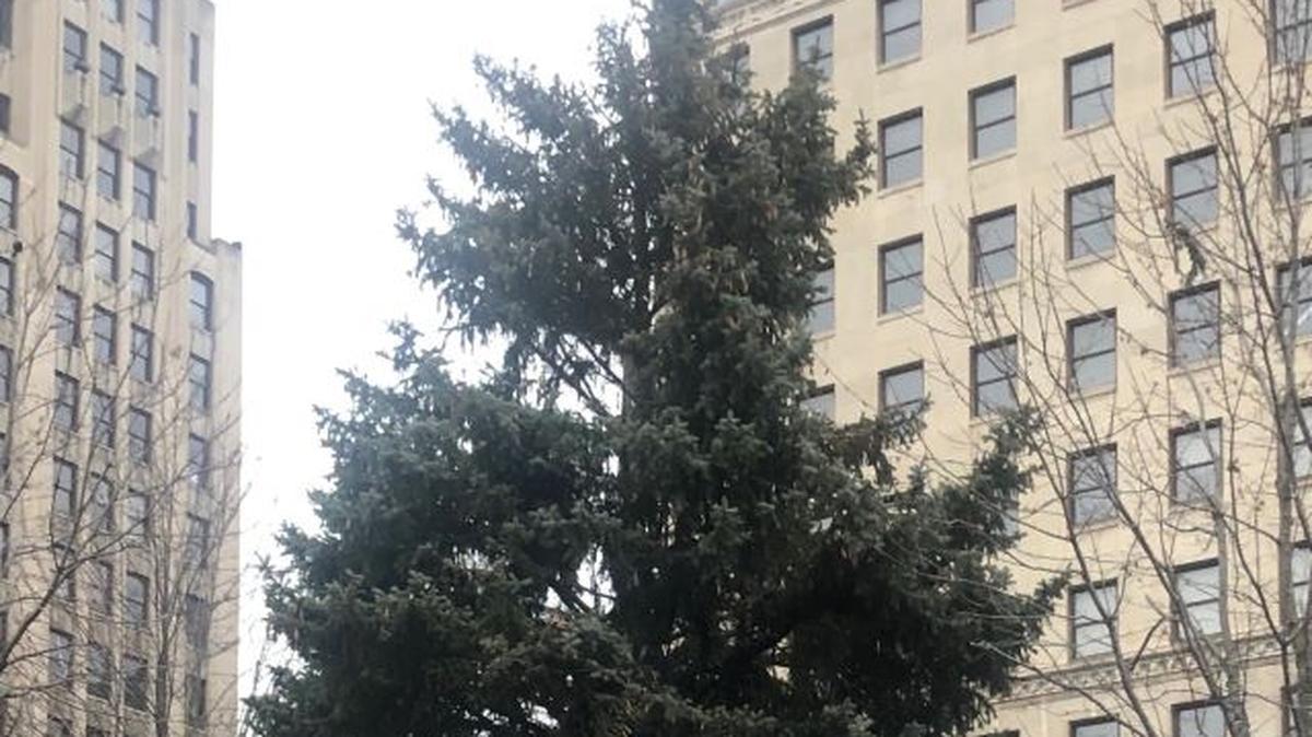 The Holiday Parade & Tree Lighting Ceremony is set for Friday in downtown Youngstown. Festivities will begin at 4 p.m. at Central Square. (Mahoning Matters)