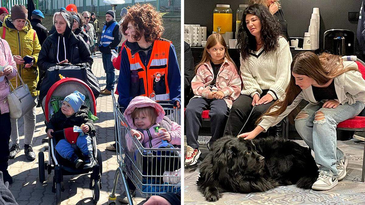 At left, Ukrainian families flee the country to the Polish village of Medyka, along the Ukrainian border. At right is Lila, a Ukrainian vascular surgeon, and her daughters and dog, who were forced to flee Russian invaders.