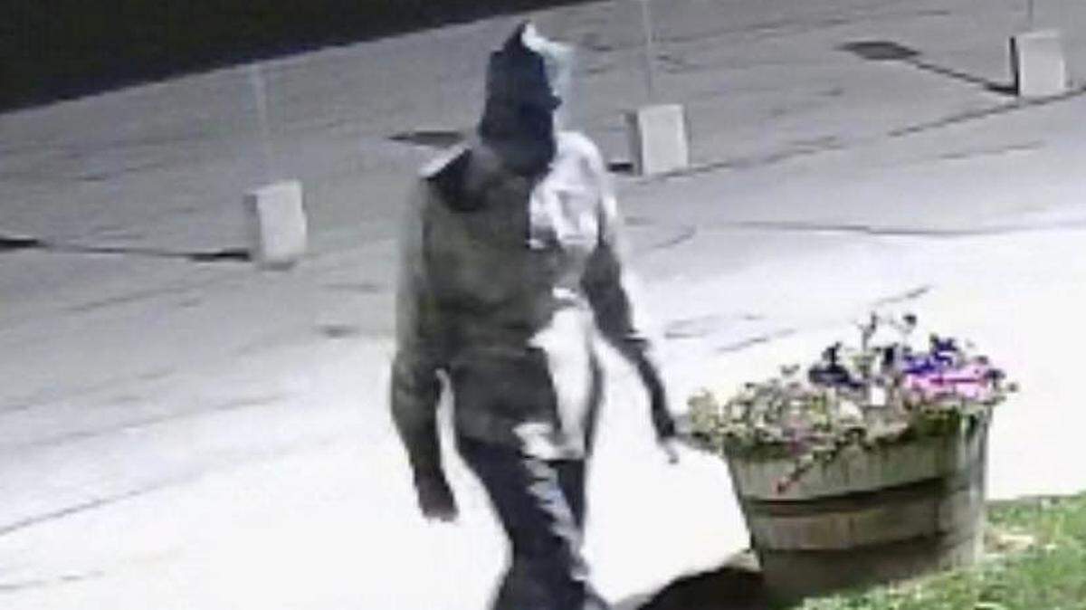 Break-in suspect