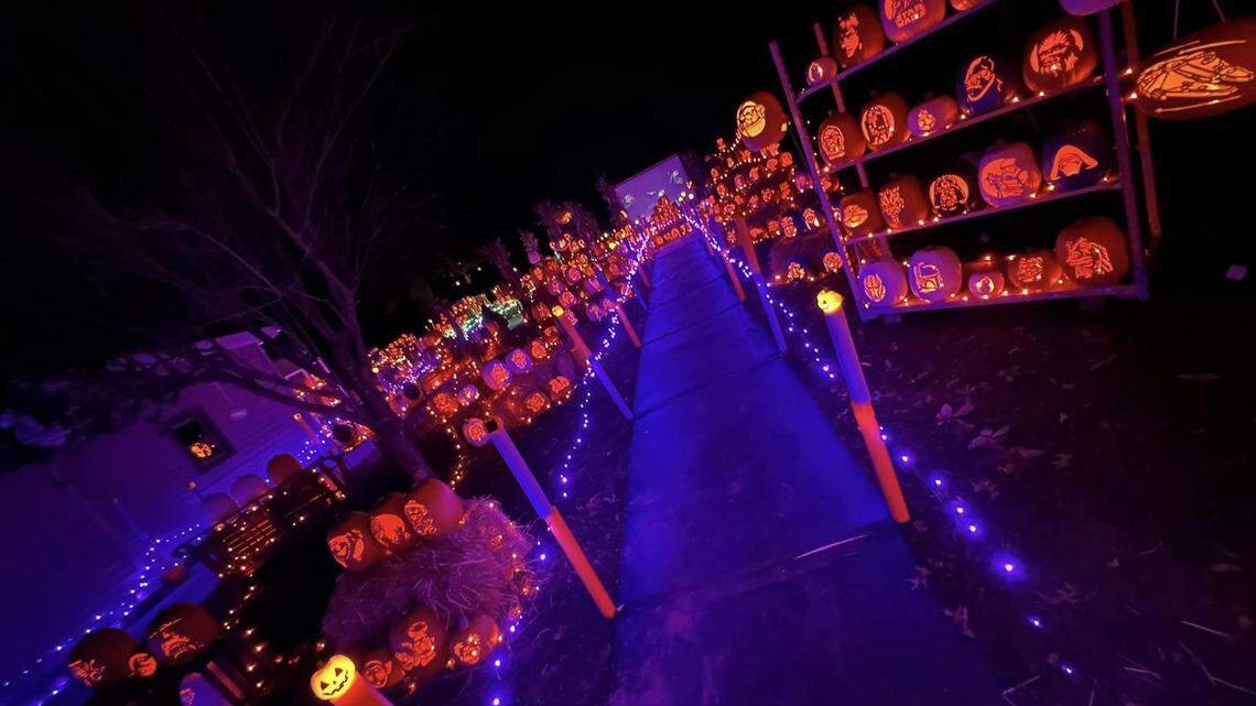 This year, donations from visitors on the walk will benefit The Squeaky Wheel Theater Company.