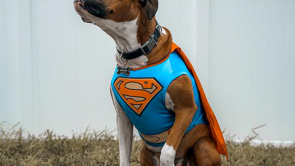 (Photo by Elias Castillo | Unsplash)