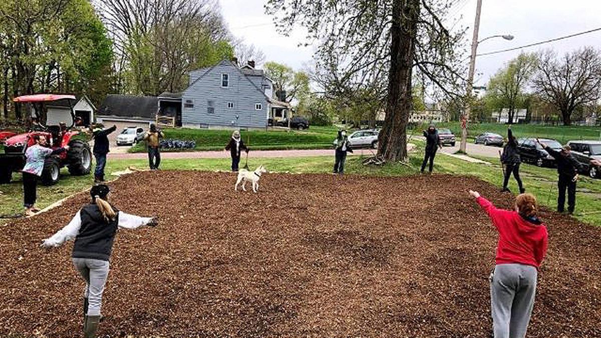 Volunteers throw wildflower seeds into a freshly prepared 40-foot-by-50-foot bed of shredded mulch to launch Operation Pollination. The volunteers prepared the bed on Mahoning County Land Bank-owned property at the intersection of Ohio and Lauderdale avenues on Youngstown's North Side. (Contributed photo)
