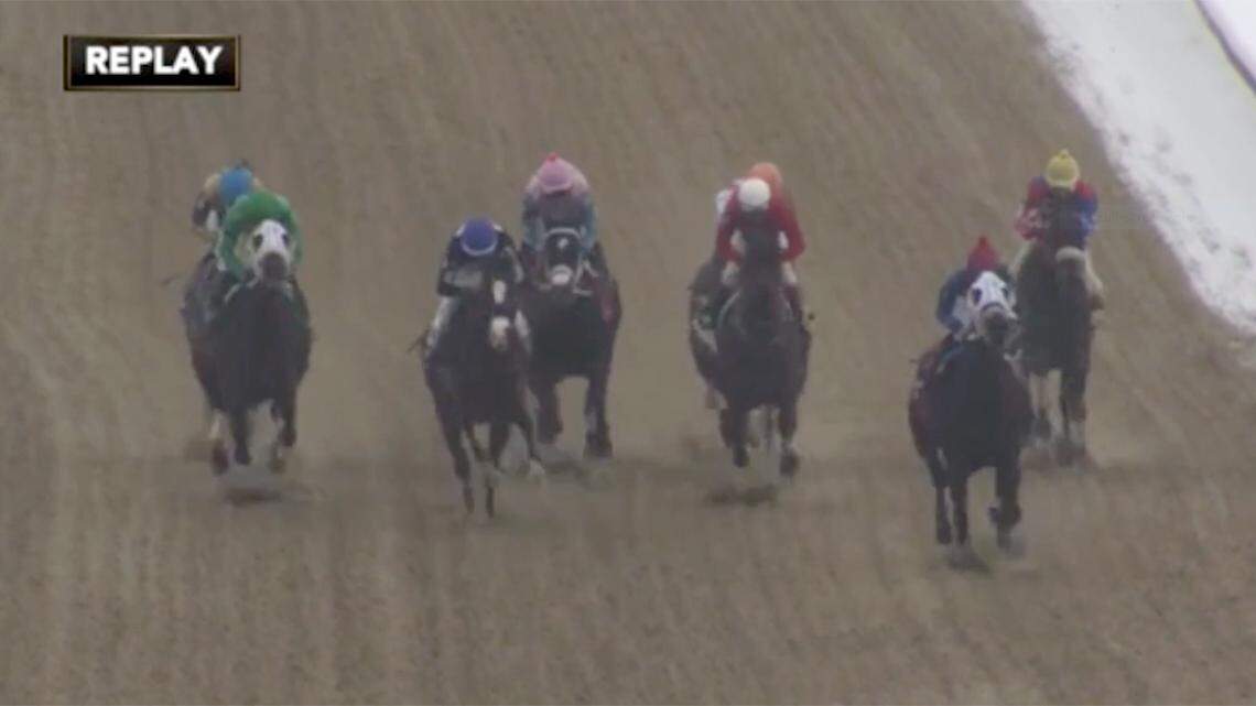 Shown here is a still from replay footage of a Mahoning Valley Race Course horse race on Monday, Jan. 24, 2022, during which the competing horse Hoboken Hustle broke her leg and was euthanized. PETA has called for an investigation into the track’s conditions.