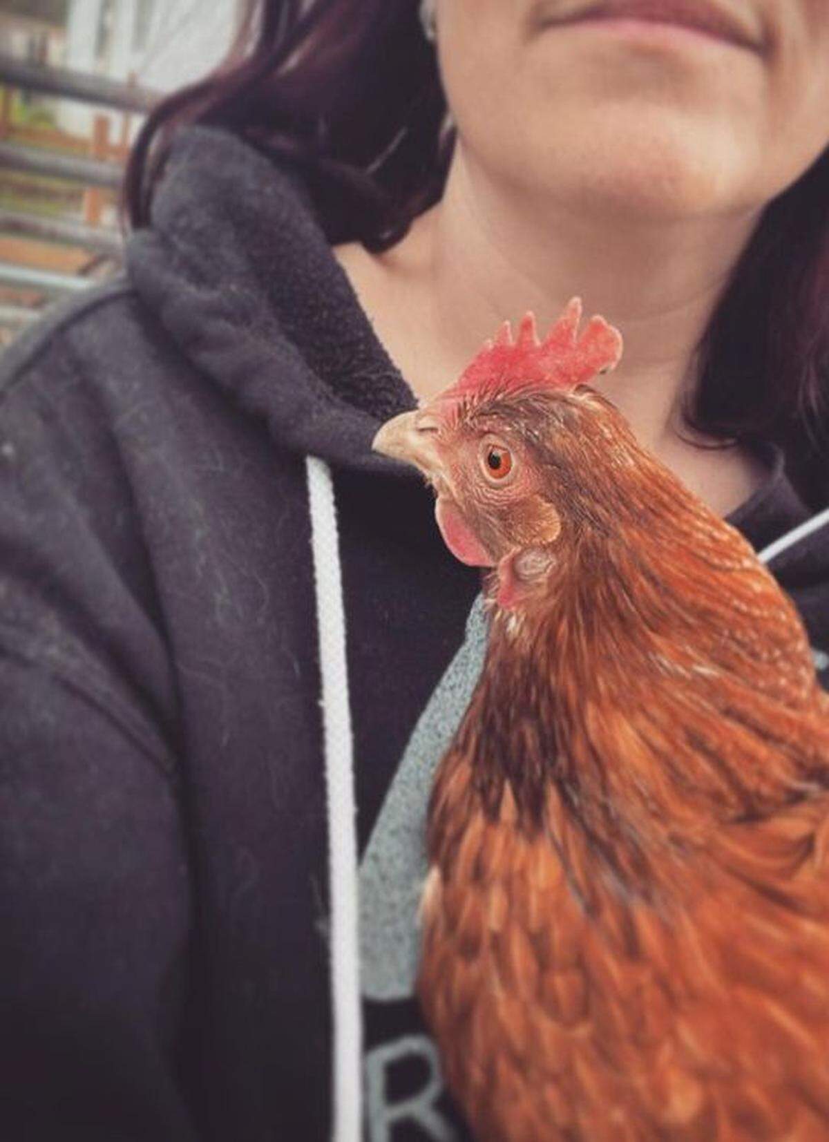Rebel Rescue Ranch is a non-profit organization founded in Berlin Center, Ohio by&nbsp;Ame Riggs.&nbsp;