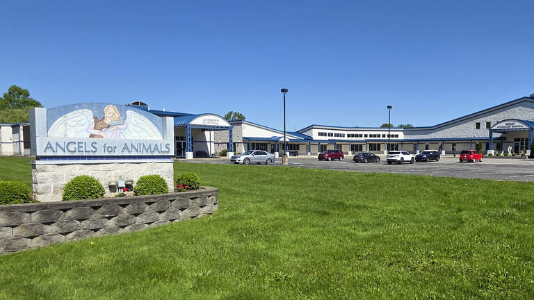 Mahoning County Public Health, Angels for Animals present first rabies vaccination clinic of the summer